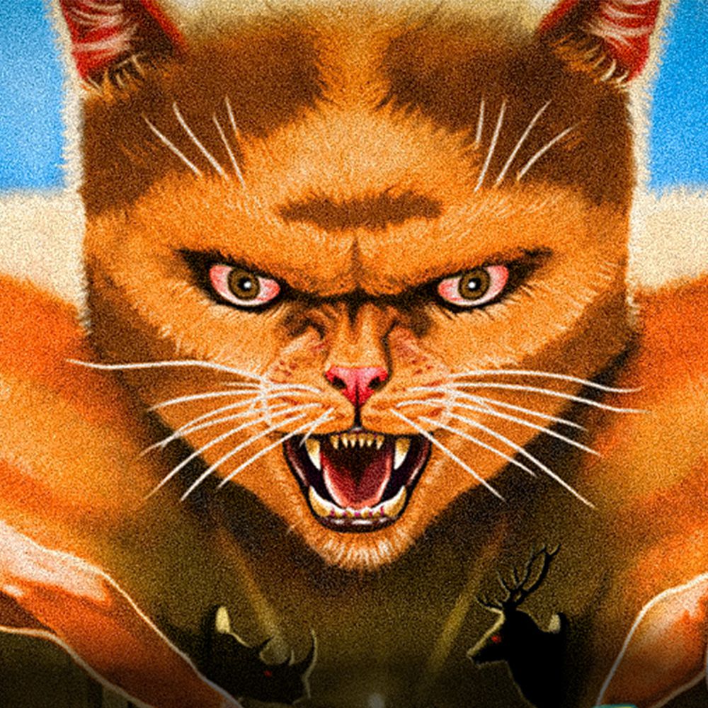 گربهای به نام موهاوی | Cat Named Mojave